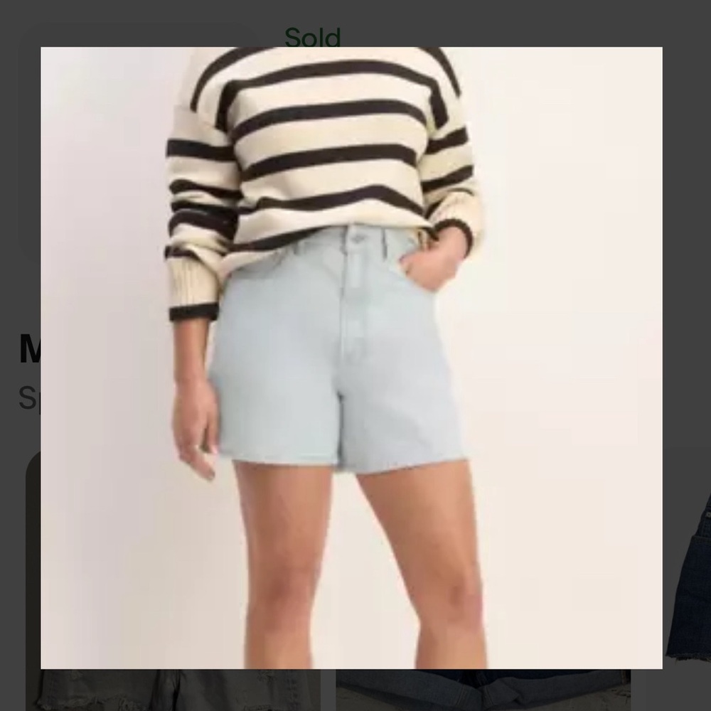 Everlane The A-Line Denim Short Medium Powder Blue 27